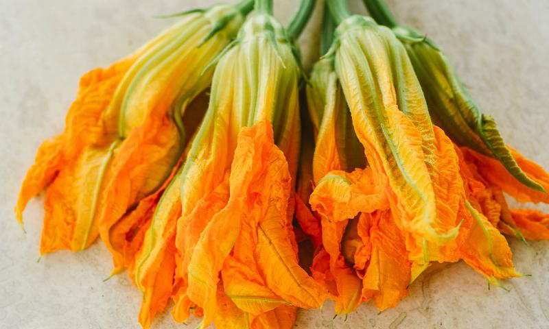 Lợi ích sức khỏe của hoa ăn được