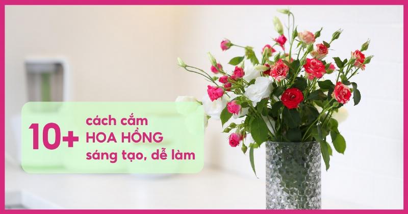 mau-cam-hoa-don-gian-long-cap-hoa-hong-va-baby