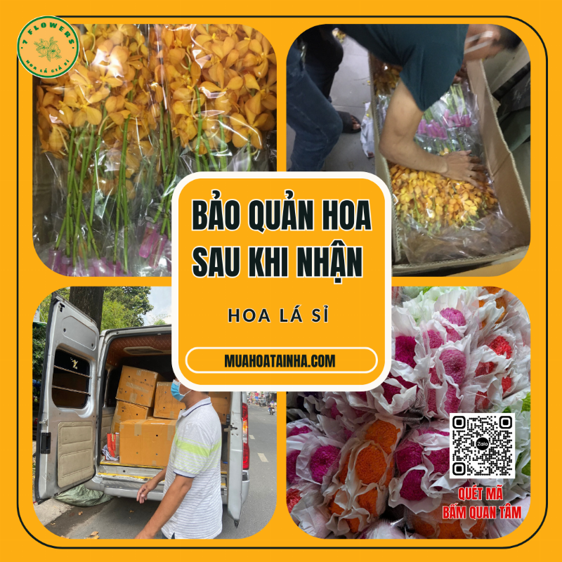 kiem-tra-chat-luong-hoa-tuoi-sau-khi-nhan-hang
