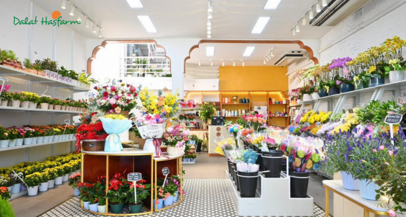 Mua hoa Đà Lạt Hasfarm ở đâu tại Hà Nội?
