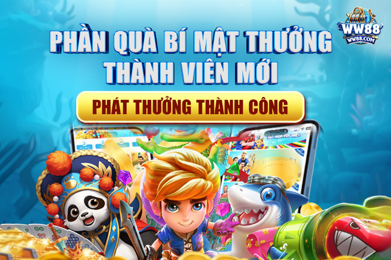 Hình ảnh một vườn hoa cẩm tú cầu rộng lớn, tươi tốt, thể hiện sự chuyên nghiệp của nhà cung cấp