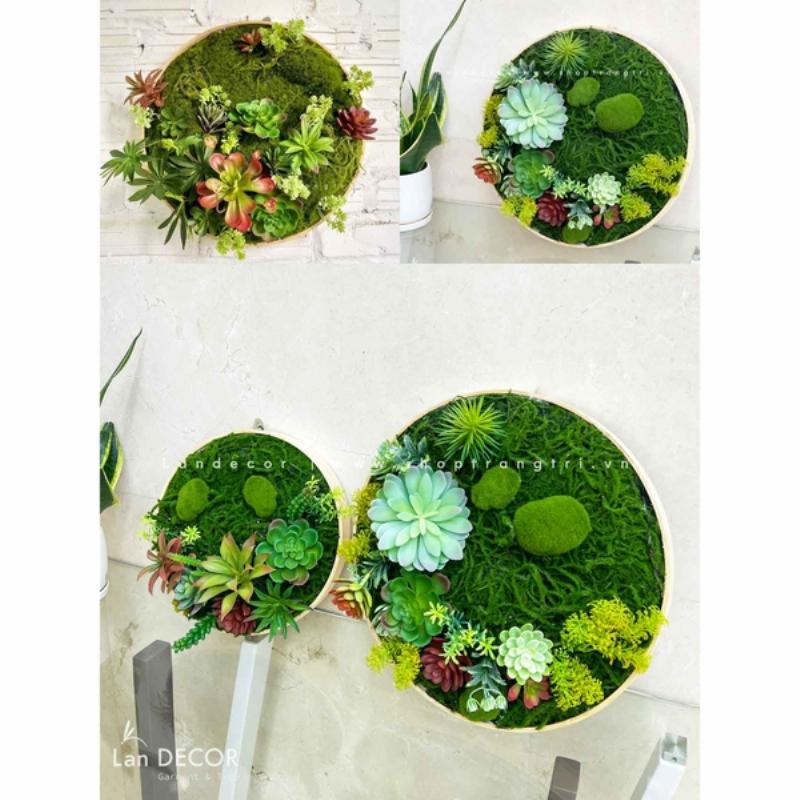 Sen đá trang trí nội thất hiện đại