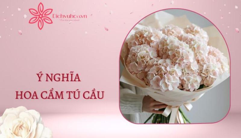 Ý nghĩa hoa cẩm tú cầu tím sự giàu có sang trọng và bí ẩn