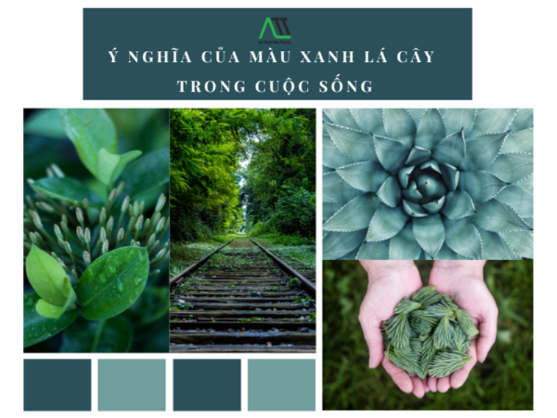 Ý nghĩa màu xanh lá cây trong thiên nhiên