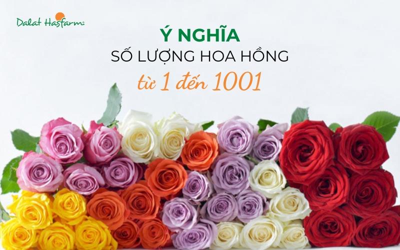 Tìm hiểu ý nghĩa số bông hồng trong tình yêu qua các con số khác nhau
