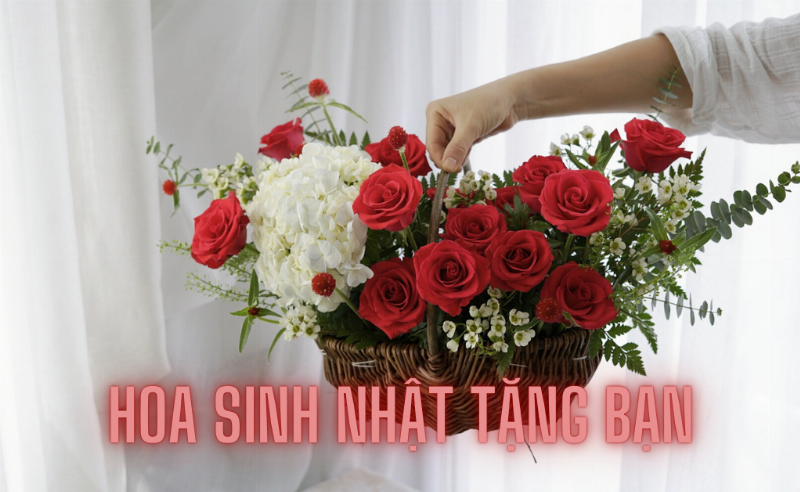 Bó hoa tròn đẹp tặng sinh nhật với hoa hồng và baby's breath, gói giấy lụa màu pastel