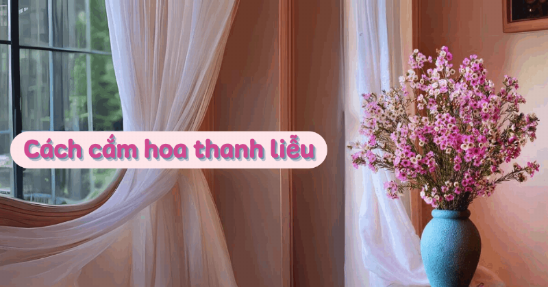 Gợi ý những cách cắm hoa thanh liễu đẹp mắt và sáng tạo tại nhà