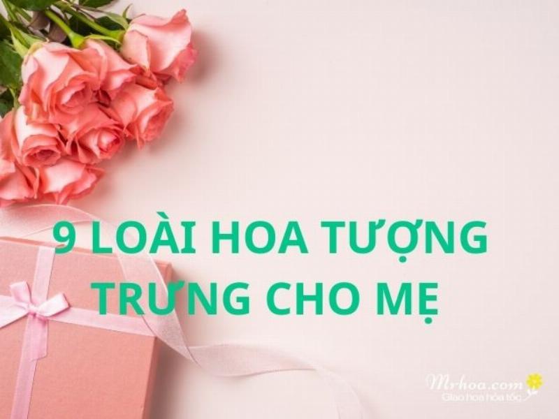 Lựa chọn hoa mẫu đơn phù hợp để tặng trong các dịp đặc biệt
