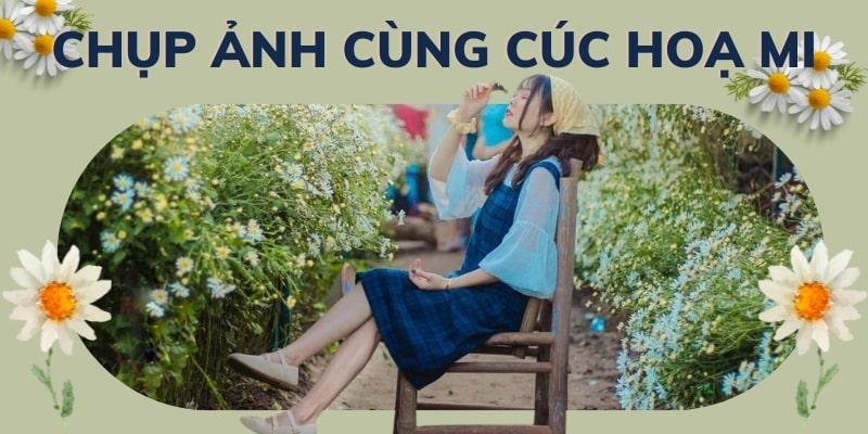 Hinh anh co gai mac ao dai trang chup anh ben vuon cuc hoa mi o ngoai o Ha Noi