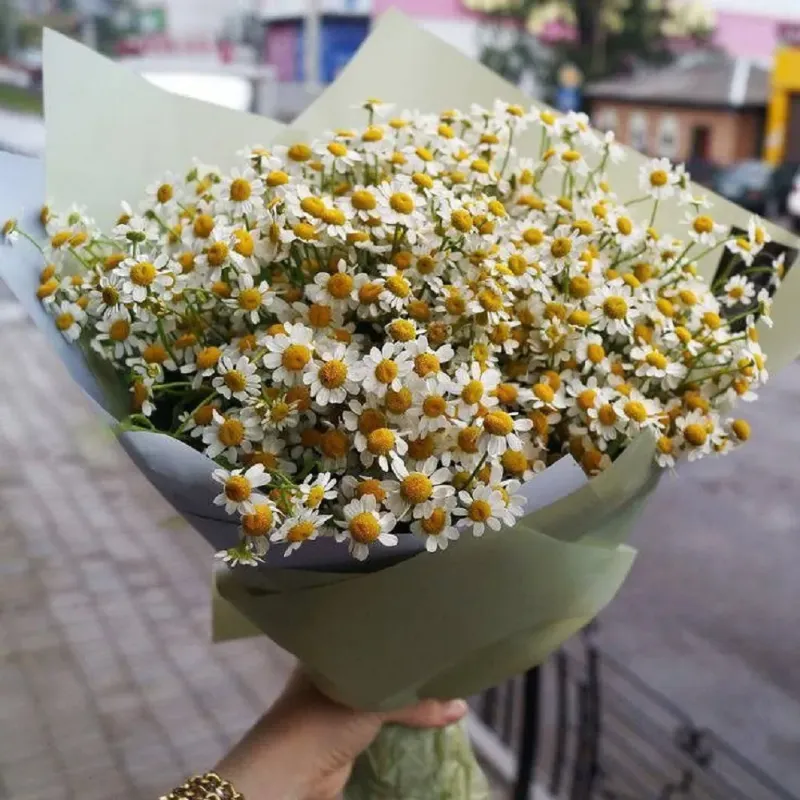 Một bó hoa cúc họa mi nhỏ xinh được bó đơn giản với giấy kraft, thể hiện mức giá bình dân.
