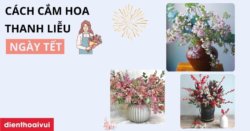 Giải đáp những câu hỏi thường gặp nhất về loài hoa thanh liễu xinh đẹp