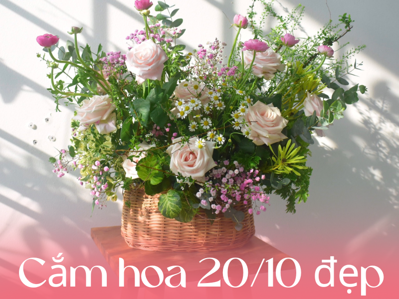 Lẵng hoa đẹp 20 10 kết hợp cùng quà tặng ý nghĩa