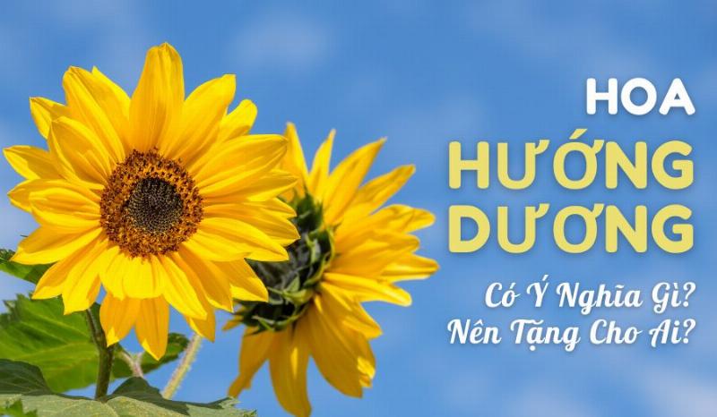 Chuyên gia tại Lela Flower chia sẻ bí quyết chọn hoa chúc sinh nhật đẹp