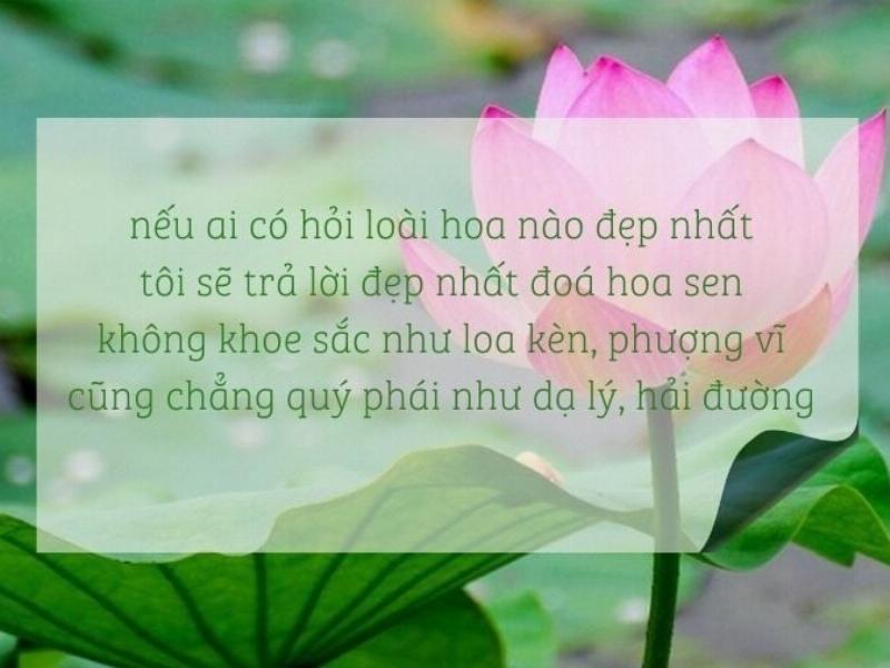 Hình ảnh cận cảnh bông hoa thủy tiên Đà Lạt màu trắng nhụy vàng nở rộ, thể hiện vẻ đẹp tinh khôi và chi tiết từng cánh hoa
