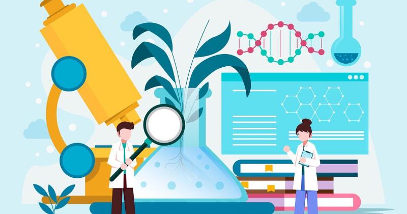 Một người đang xem ảnh mẫu bó hoa trên điện thoại, so sánh với mô tả, biểu thị hành động kiểm tra thông tin trước khi đặt hàng.