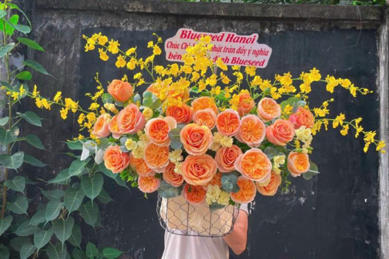 Chậu lan hồ điệp nhiều cành đặt trong không gian phòng khách, tượng trưng cho ý nghĩa lan hồ điệp về sự thịnh vượng và hài hòa trong phong thủy