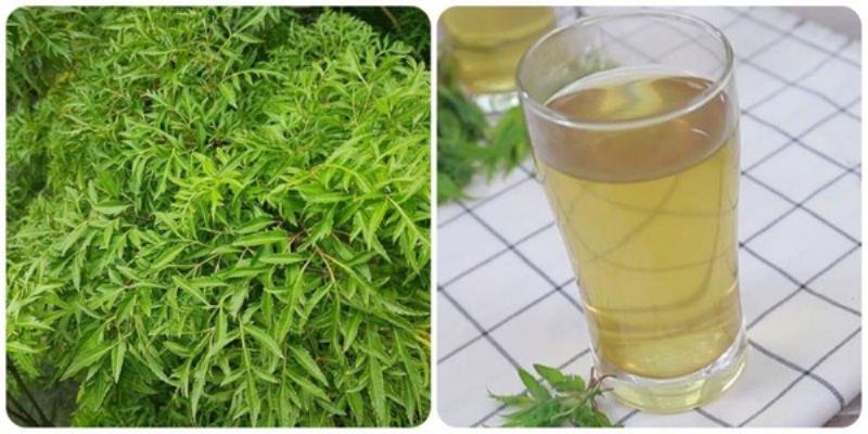 huong-dan-lam-sach-la-dinh-lang