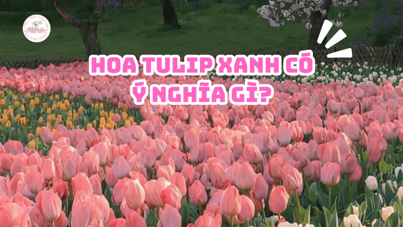 mot-lan-cam-hoa-tulip-xanh-sang-trong-va-tinh-te