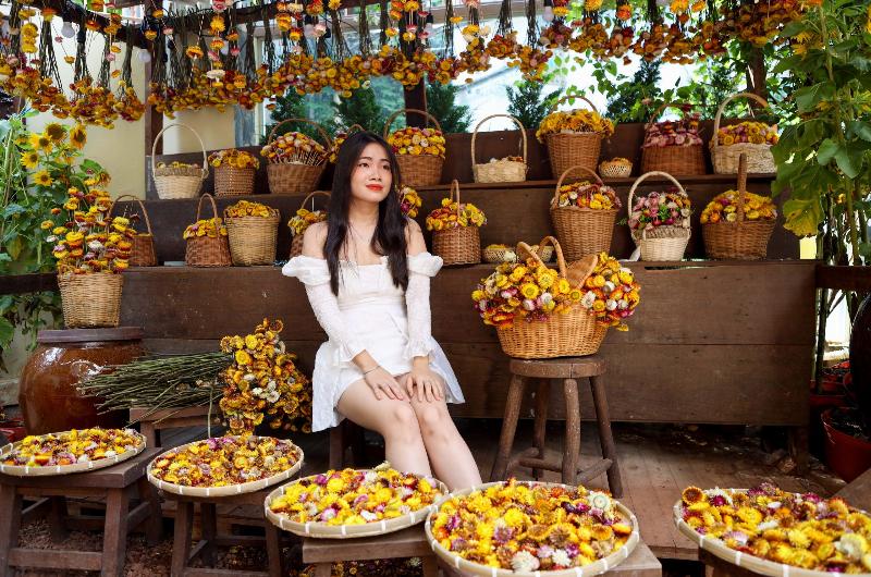 Hoa bất tử và tình yêu vĩnh cửu