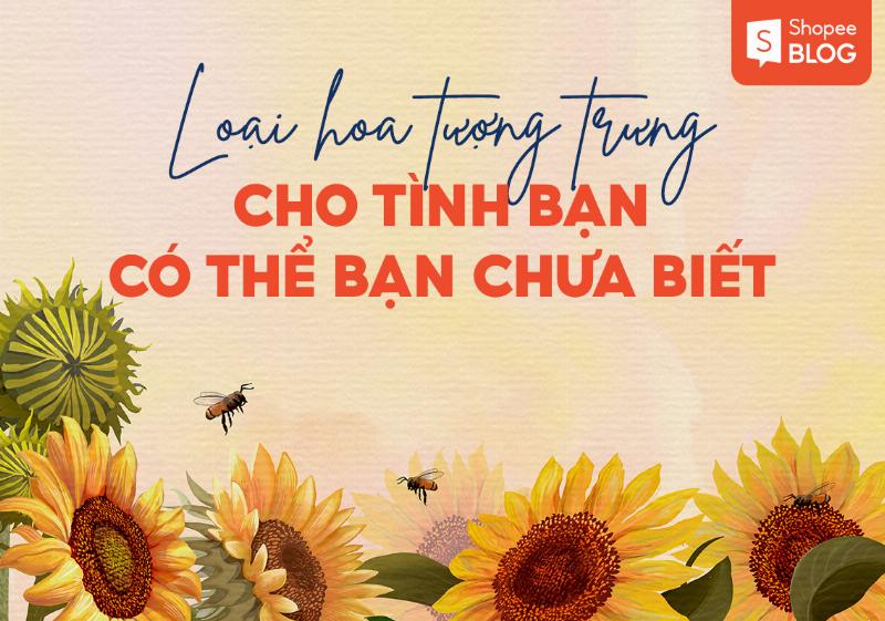 hoa-cuc-vang-la-mon-qua-tang-y-nghia-cho-tinh-ban-chan-thanh