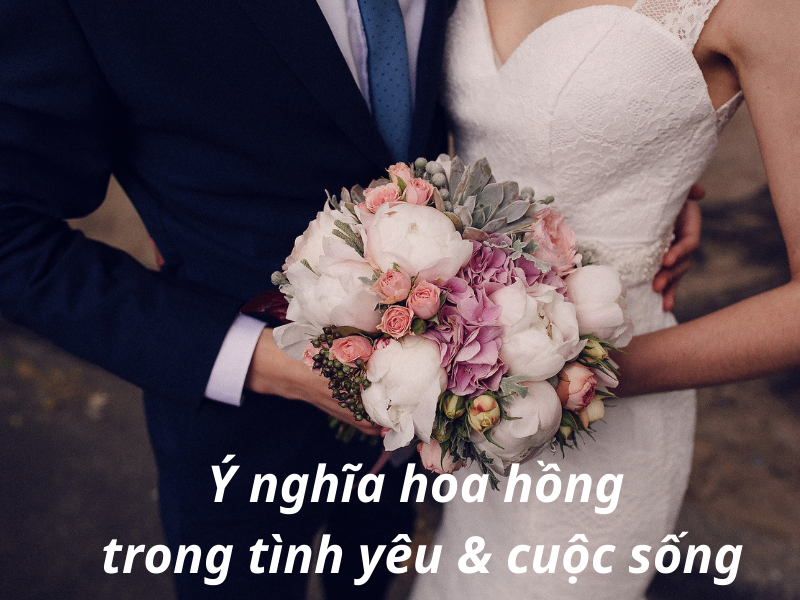 Hoa hồng đỏ biểu tượng tình yêu
