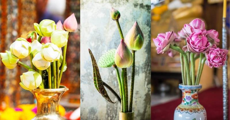 Hoa sen cưới và nghệ thuật cắm hoa