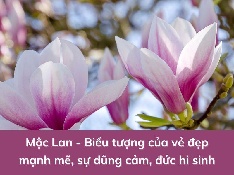 Hoa Sinh Nhật Đẹp Cho Nam Mạnh Mẽ