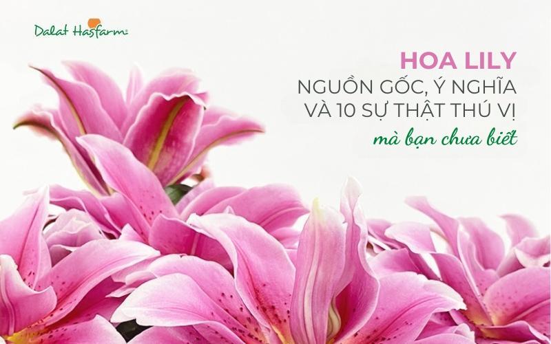Mẫu hoa bó nhỏ đẹp với hoa ly trắng