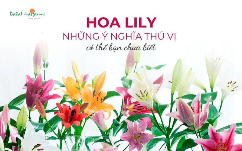 Khám phá những tên gọi khác của hoa ly, đặc biệt là cái tên Bách Hợp quen thuộc trong văn hóa Á Đông.