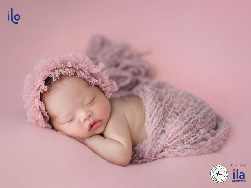 So sánh tên gọi hoa ly trong tiếng Việt và tiếng Anh (Lily), nguồn gốc của tên gọi "Ly".