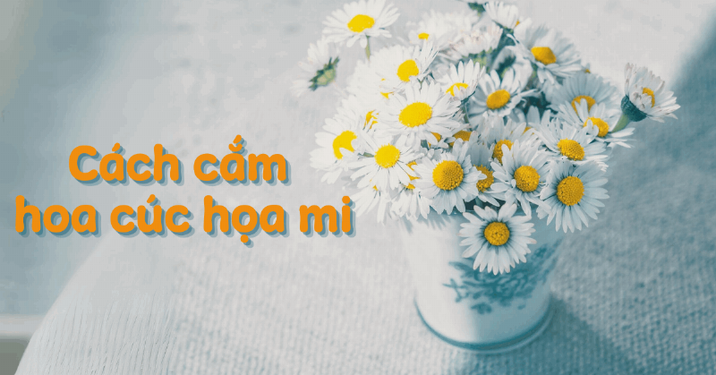 Tự tay bó cúc họa mi đẹp tại nhà với vài bước đơn giản