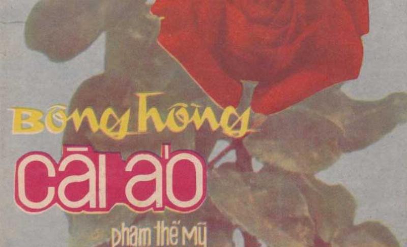 Bong hong trang trong nhieu hoan canh