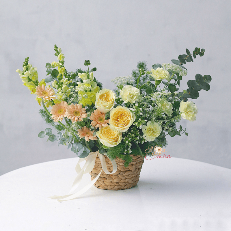 Hình ảnh hoa cúc vàng tươi sáng rực rỡ thể hiện niềm vui và sự lạc quan trong cuộc sống