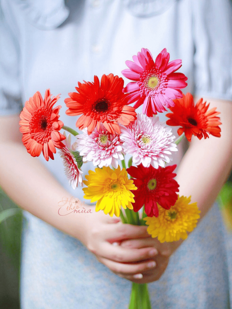 Vẻ đẹp và ý nghĩa sâu sắc của các loài hoa thường dùng trong giỏ hoa mừng khai trương