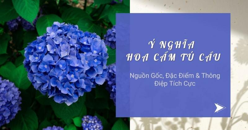 Bo hoa cam tu cau nhieu mau the hien da dang cam xuc va y nghia
