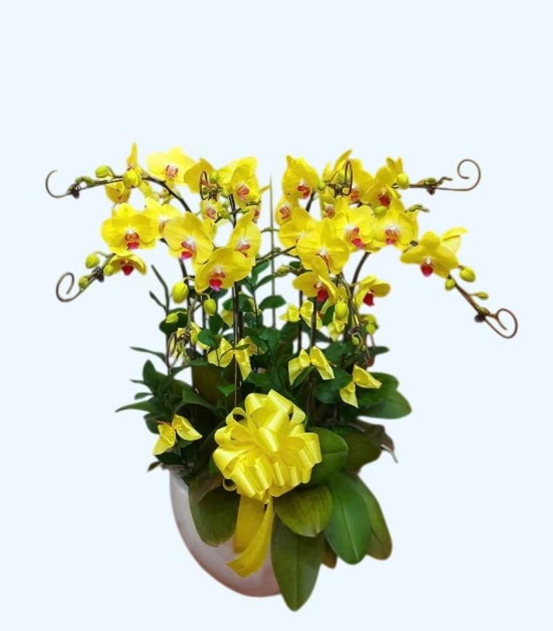 Hình ảnh các loại hoa cắm bình đẹp tại shop hoa tươi Phú Nhuận