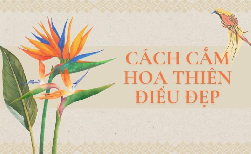 Khám phá nghệ thuật cắm hoa thiên điểu tiếng Anh Bird of Paradise, cách kết hợp để tạo nên những bình hoa ấn tượng và hiện đại.