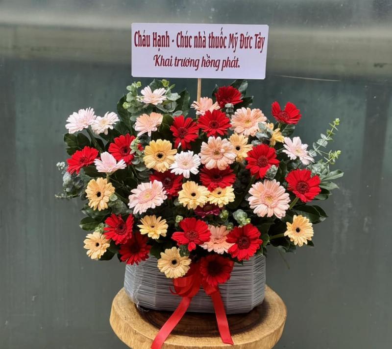 Cận cảnh bông hoa hồng tươi tắn, rạng rỡ, lựa chọn lý tưởng cho hoa hồng tặng sinh nhật người yêu