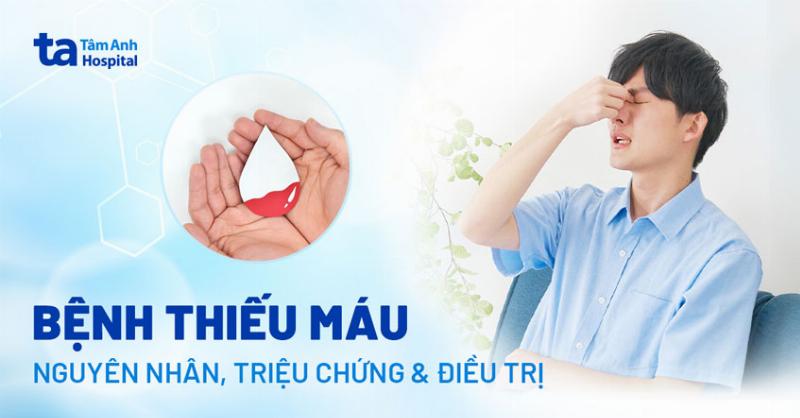 Dấu hiệu nhận biết cây bị héo rũ do thiếu hoặc thừa nước, giúp bạn chẩn đoán nguyên nhân chính xác